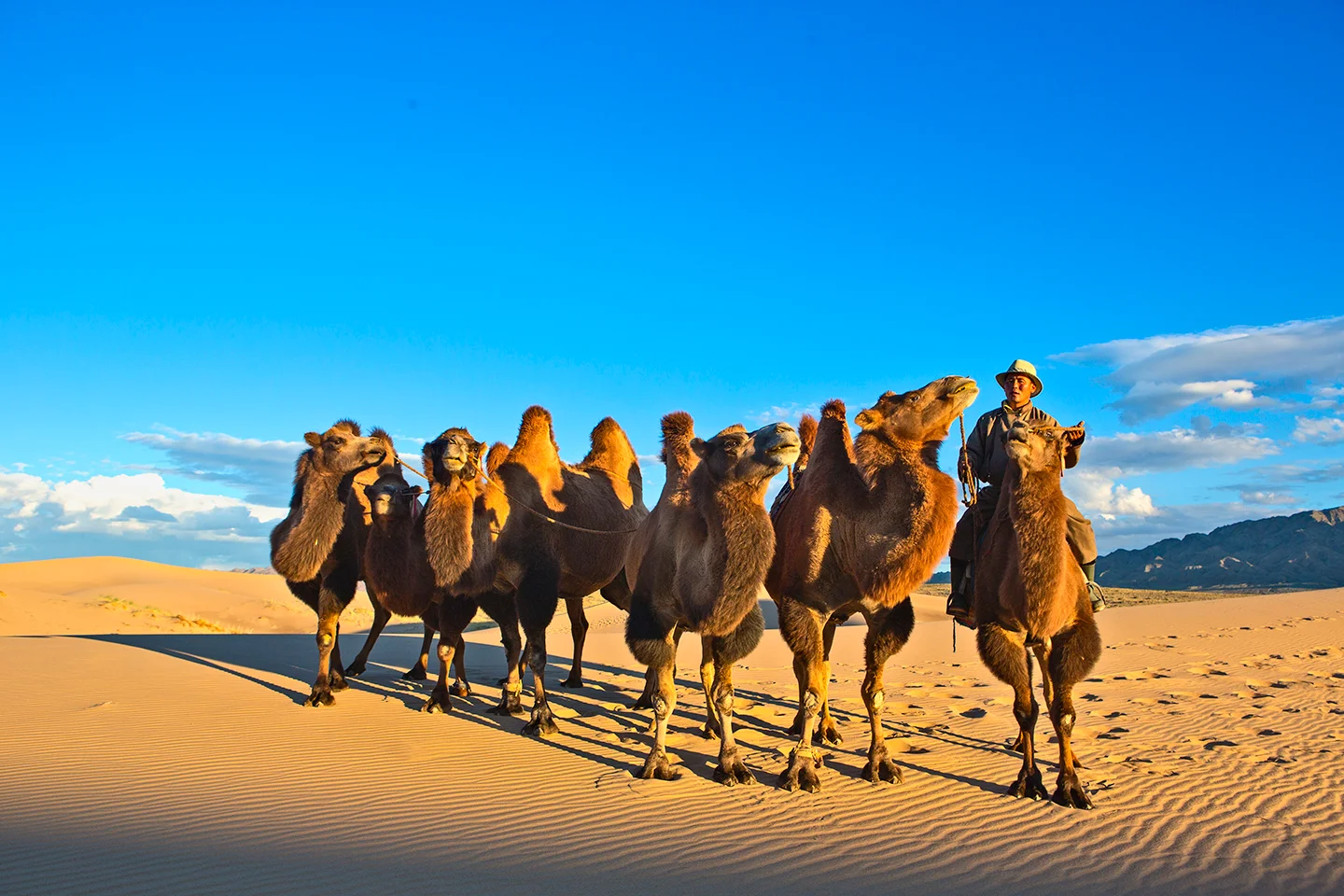 A comparison of budget travel and luxury travel in Mongolia.
