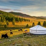 What is a Mongolian Ger | Traditional Dwelling | Nomad’s Ger