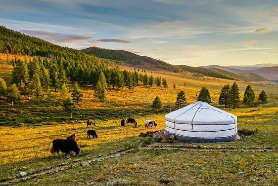 What is a Mongolian Ger | Traditional Dwelling | Nomad’s Ger